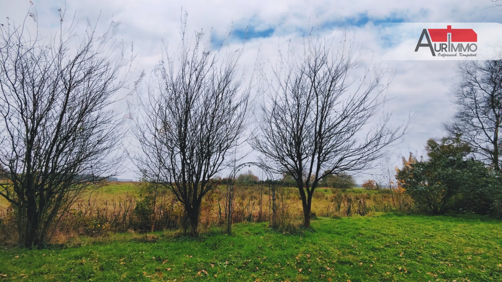 Blick aufs Moor